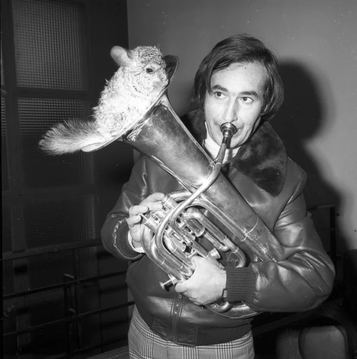 Garcimore joue du tuba, un petit animal à fourrure installé dans le pavillon de l'instrument