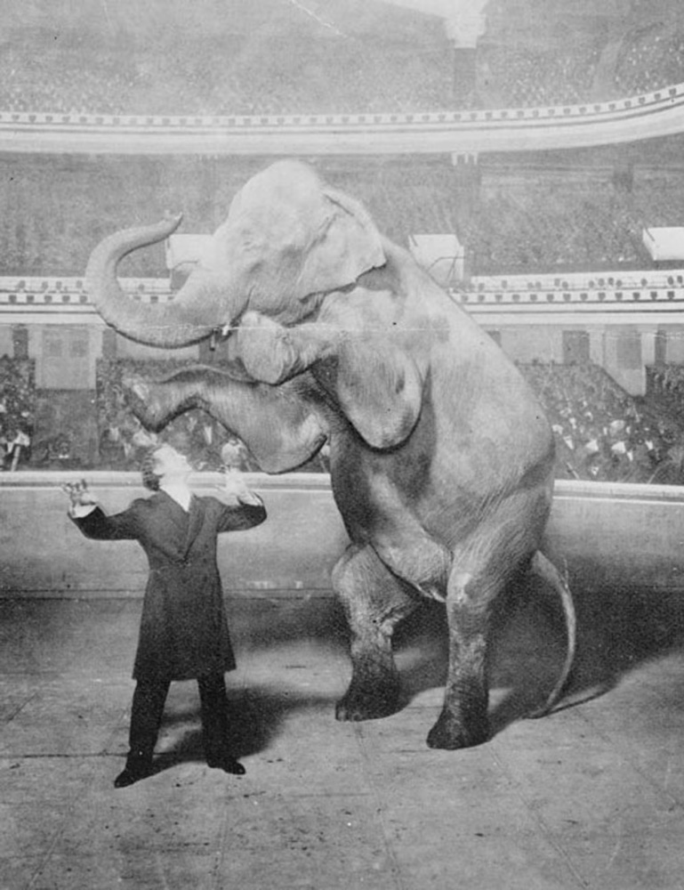 Harry Houdini fait disparaître l'éléphante Jennie à l'Hippodrome de New York, 1918